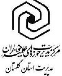 هدایت گری بشر؛ عمده رسالت ابا عبدالله الحسین ع