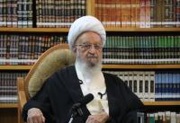 مرحوم آیت الله صادقی جامع بین علمیّت، تقوا و فضائل اخلاقی بود/آثار سه گانه تکریم علما