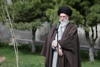 مسئولان مانع از بین رفتن درختان و باغات موجود در شهرها شوند/ برخی بهدنبال دستاندازی به باغها و باغستانهای تهران هستند