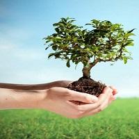 کاشت 450 اصله درخت توسط طلاب حوزه علمیه خواهران استان اصفهان