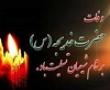 فضائل حضرت خدیجه س می تواند برای کل جامعه اسلامی راهگشا باشد