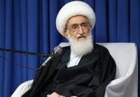 خوشبینی به آمریکا از روی ساده لوحی یا خیانت است/سخنان دشمن شاد نگوئید