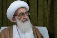 همه برای آزادی شیخ زکزاکی تلاش کنند/سازمانهاي بين المللي هويت خود را از دست دادهاند