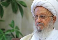 مدیر حوزههای علمیه خواهران از آيتالله العظمی مکارم شیرازی عیادت کرد