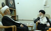 دیدار آیات عظام مکارم شیرازی و شبیری زنجانی