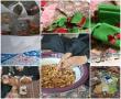 ما چله نشینان شب یلدای ظهوریم/ما منتظر نوبت برپایی نوریم