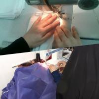 التزام به اصول بهداشتی جهت حفظ مصالح عمومی جامعه تکلیف شرعی است+عکس