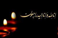 معاون آموزش حوزههای علمیه خواهران درگذشت
