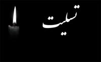 خانم داوودی دارای همت والا در پرورش طلاب انقلابی بود