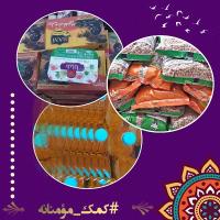 خواهران طلبه فامنین جهادگران خظ مقدم کمک رسانی هستند