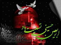 زیارت امام حسین(ع) نجات دهنده انسان از ظلمت و سرگردانی است