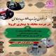 فراخوان بانوان طلبه جهادی همدان برای مقابله با کرونا