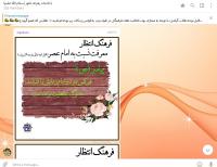 جلوه انتظار در شیعیان متفاوت است