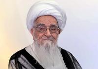 تقدیر رئیس دانشگاه الزیتونه تونس از اقدام آیت الله العظمی صافی
