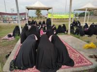 ویژهبرنامه