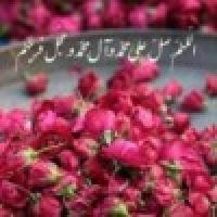 جوان بی هدف ،مانند کسی است که دست به خودکشی روحی زده باشد