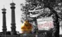  زندگی نامه شاه عبدالعظیم حسنی (علیه السلام)