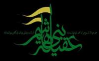 زندگی به سبک  زینبی