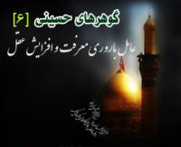 عامل باروری معرفت و افزایش عقل 