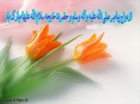  ماجرای ازدواج پیامبر(ص) و حضرت خدیجه(س) 