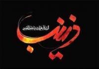 بانوی صبر در پنج روایت