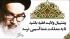 تفاوت ولایت فقیه با سلطنت شاه
