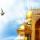 ۲۳ذی القعده روزی بسیار شریف، روز زیارتی مخصوص امام رضا علیه السلام و زیارت آن حضرت از دور و نزدیک سنت است.