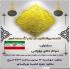 نشست روشنگری در ایام الله دهه فجر