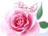 چهل حدیث گهر بار از امام هادی علیه السلام