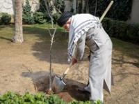 بیانات پس از کاشت نهال در روز درختکاری(۱۴۰۳/۱۲/۱۵)