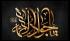  امام جواد (ع) پاسدار حریم وحی