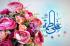 ازدواج حضرت زهرا الگوی جوان امروز