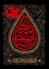 کتاب علی بن موسی(ع)، امام رضا
