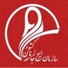 بازآفرینی «محتوای دینی در فضای مجازی» موضوع دومین همایش حوزه علمیه خواهران/ سازمان بسیج جامعه زنان کشور