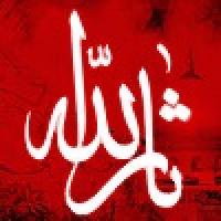 زائران قبل و بعد از شهادت امام حسین علیه السلام