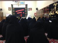 حجاب غربت را از سیمای امام مجتبی(ع) بزداییم