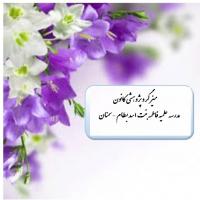 سمنان میز گرد اعضای کانون پژوهشی مدرسه علمیه فاطمه بنت اسد (س)