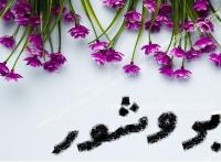 اردبیل تهیه بروشور و جزوه پژوهشی توسط مدرسه الزهرا سلام الله علیها 