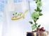 ماه رمضان فرصت ارزشمندی برای مواسات و همدلی مسلمانان است