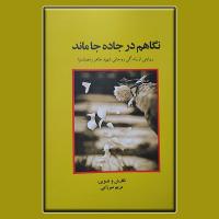 کتاب نگاهم در جاده جا ماند منتشر شد