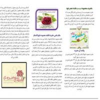 سمنان تهیه بروشور در مدرسه علمیه حضرت معصومه س