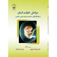 مراحل خلقت انسان از دیدگاه قرآن و حدیث بررسی شد