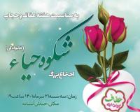 اجتماع بزرگ خانوادگی شکوه حیا به مناسبت هفته عفاف و حجاب 