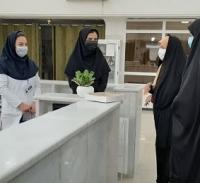 دیدار دانش آموختگان الزهرا(س) با پرستاران بیمارستان گراش