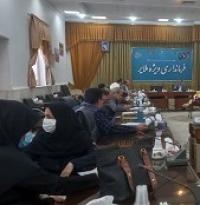 کانون دانش آموختگان حضرت زینب(س) نماینده سمن های ملایر شد