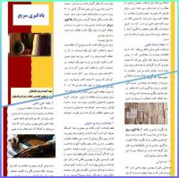 تهیه و توزیع بروشور یادگیری سریع
