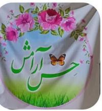 بر پایی موکب حس آرامش در یزد 
