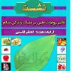هدف اصلی از سبک زندگی سالم، عبودیت و بندگی است