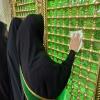 گزارش برنامه طلیعه حضور سال تحصیلی 1404-1405