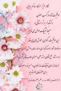 معرفی کتابدار نمونه استانی 